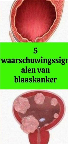AA1 (29).jpg
