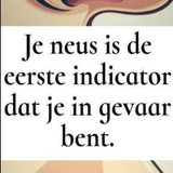 XCAS (26)