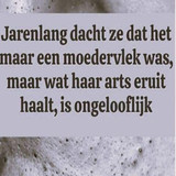 XCAS (19)