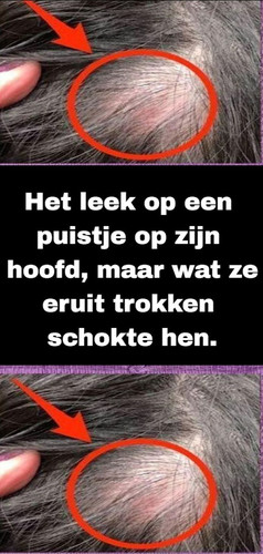 CXDFDFS (27).jpg