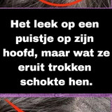 CXDFDFS (27)