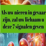 CXDFDFS (32)