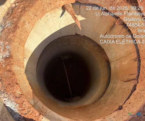 244 ele.jpg