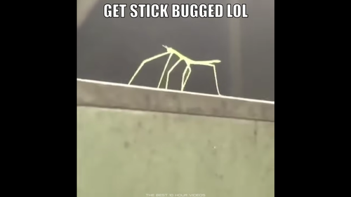 Screenshot 2026 07 23 8.00.12 AM.png