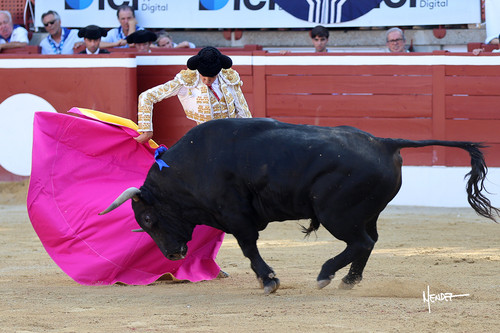 215A1588.jpg