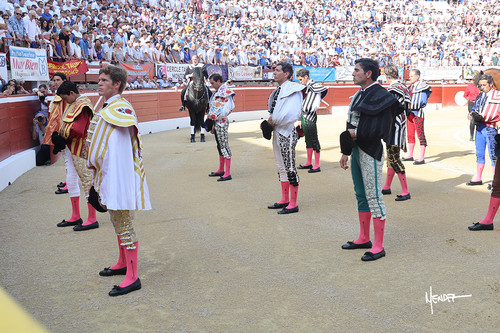 215A0527.jpg