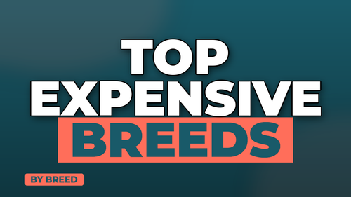 thumb average pet insurance cost by breed landscape.png