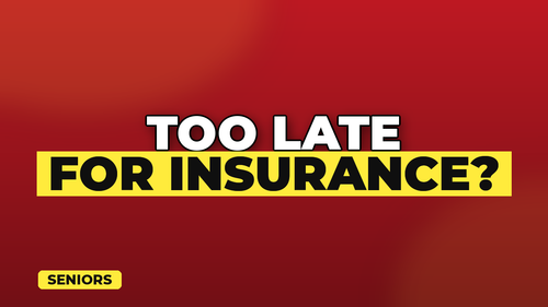 thumb pet insurance for senior pets landscape.png