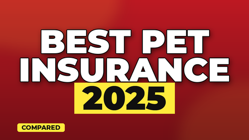 thumb cheapest pet insurance providers compare landscape.png