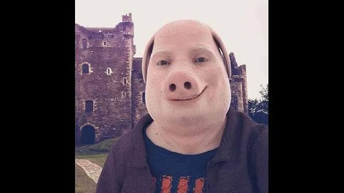 cutepfp.jpg