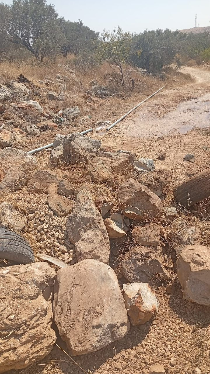 صورة الخبر
