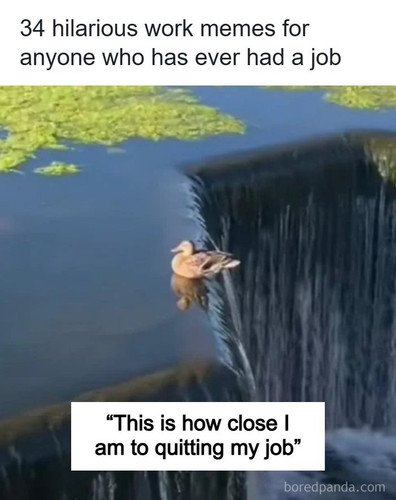 funny memes (1).jpg