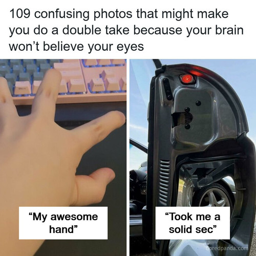 curiosities.jpg