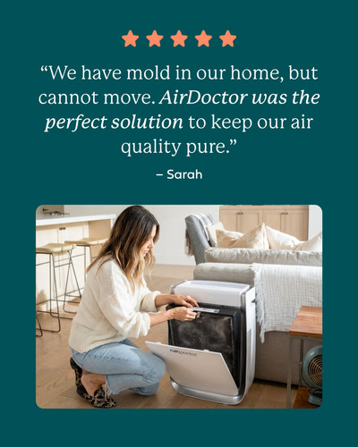 Improve Indoor Air with Powerful Mold Particle Filtration System.jpg