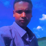 temp.png