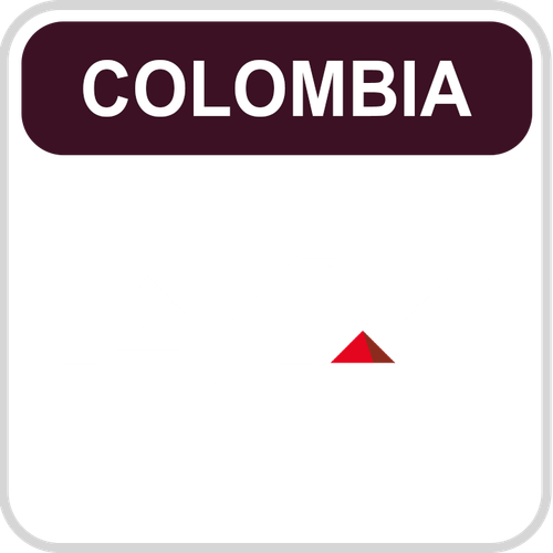 AXN Latin America Andes.png