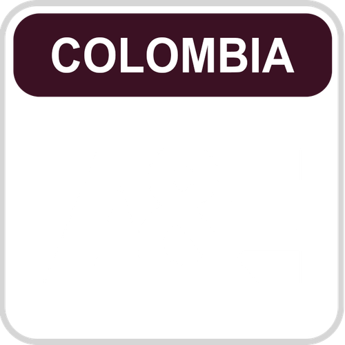 A&E Latin America.png