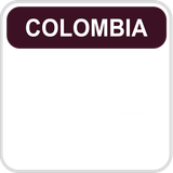 A&amp;E Latin America
