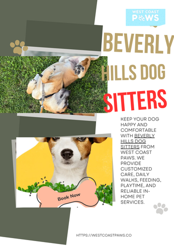 beverly hills Dog sitters.png