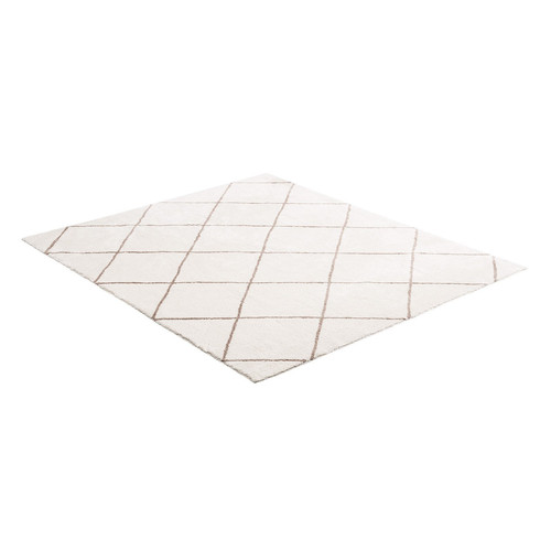 us%2FJXDDTSSCR8X10TZKW001V0%2Foriginal img v2%2Findoor plush area rug m100 9.jpg