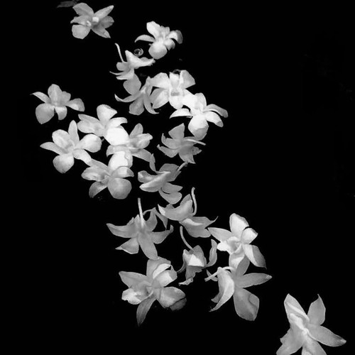 47f962426791.jpg