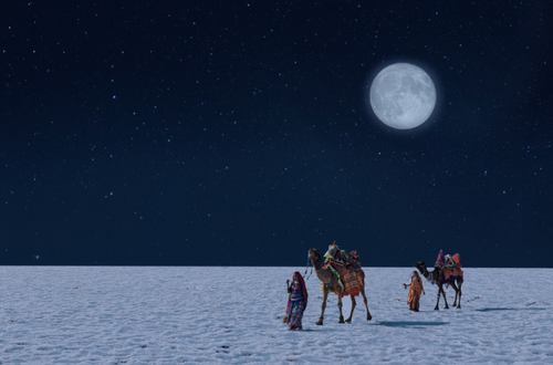 Full Moon Night at White Rann What It’s Really Like & How to Plan Your Visit.png