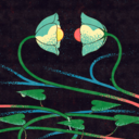 789d842d0713.png
