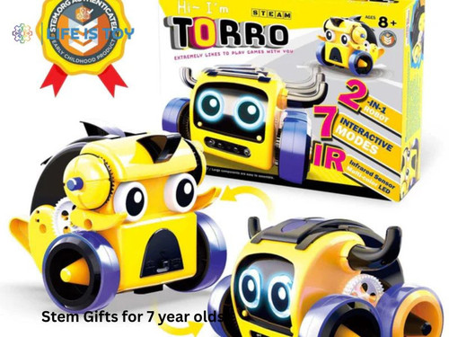 Discover Fun and Educational Stem Gifts for 7 Year Olds.jpg