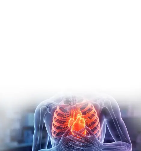 human heart design 1.webp