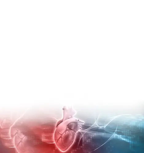 cardiology (1).webp