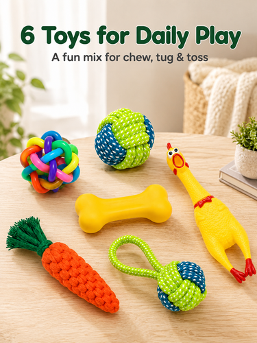 02 six toys daily play 1200x1600.png