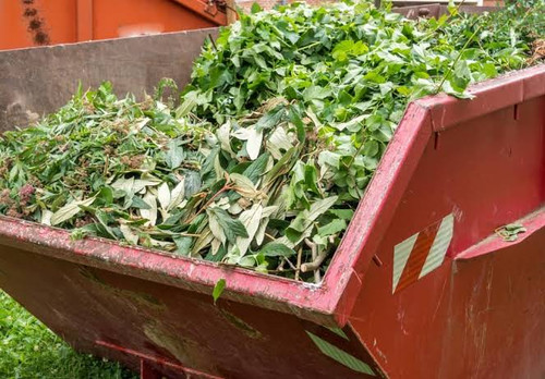 Best service for Green Waste Removal in Hillcrest.jpg