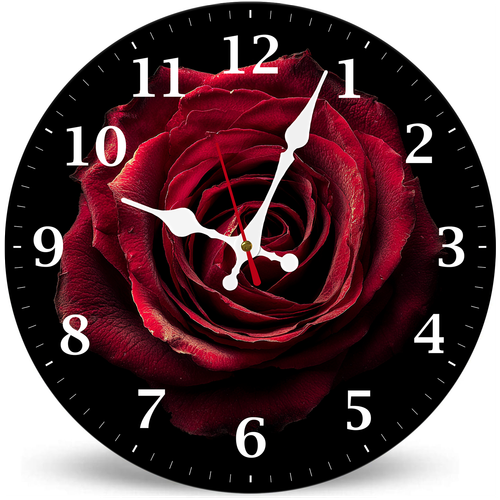 SZ26N 0723 11.png