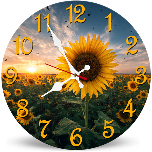 SZ26N 0723 33.png