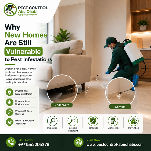 Why New Homes Are Still Vulnerable to Pest Infestations.png