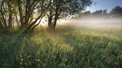 IMG 1888.jpg
