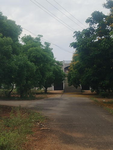 one auditorium 3.jpg