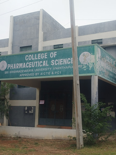 pharmacy 4.jpg