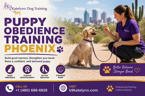 Puppy Obedience Training Phoenix K9Katelynn Dog Training.jpg