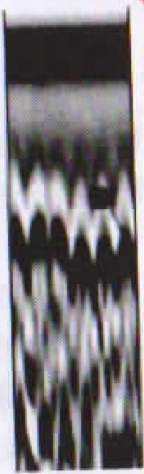 6576e1a2bc4f4b0fa2f356273493228d79a59a1f9e6e7af802739aa752be90a6.jpg