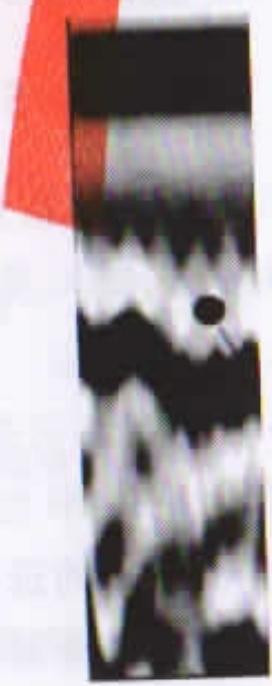 1b1bbe76a49dde48a264e99622c5f370f65655bd0871d614605384c9bfa9e601.jpg