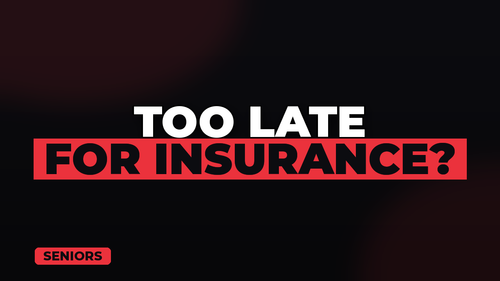 thumb pet insurance for senior pets landscape.png