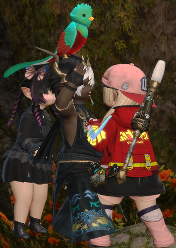 ffxiv 20260722 034818 7612.png