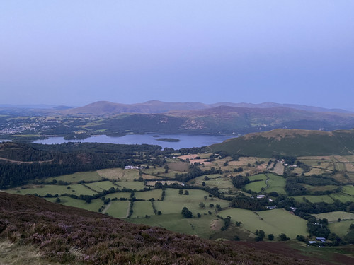 IMG 3820.jpg