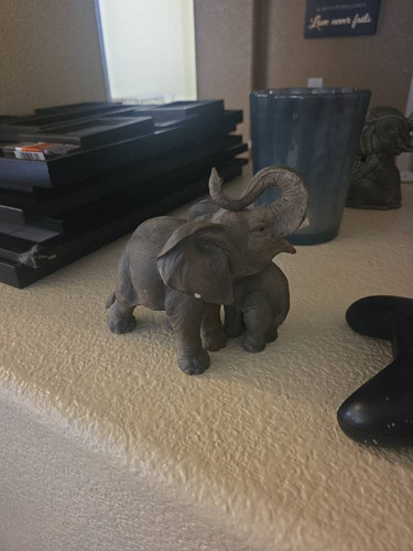 9d12fdb32833.jpg