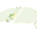 IMG 2109.png
