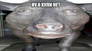 source.jpg