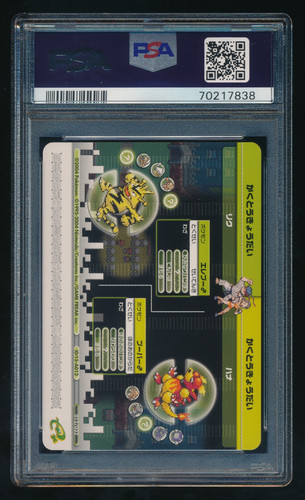 IMG 20260720 0032 bottom right.jpg