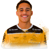 VINI CARDOSO