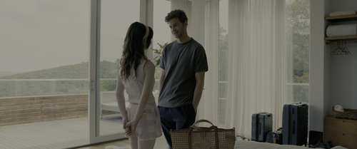 Companion.2025.REPACK.UHD.BluRay.1080p.DD+Atmos.5.1.DoVi.HDR10+.x265 SM737 007.png